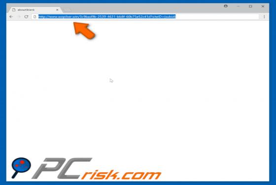 Wopiber.win POP-UP Redirect