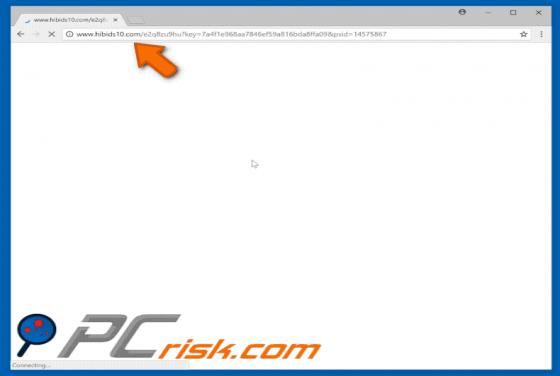 Hibids10.com POP-UP Redirect