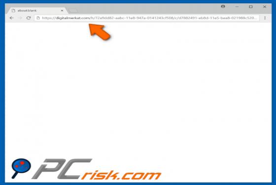 Digitalmerkat.com POP-UP Redirect