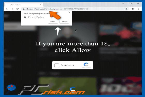 Notify.support POP-UP Redirect