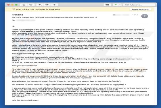 I Want To Get Straight To The Point Email Scam