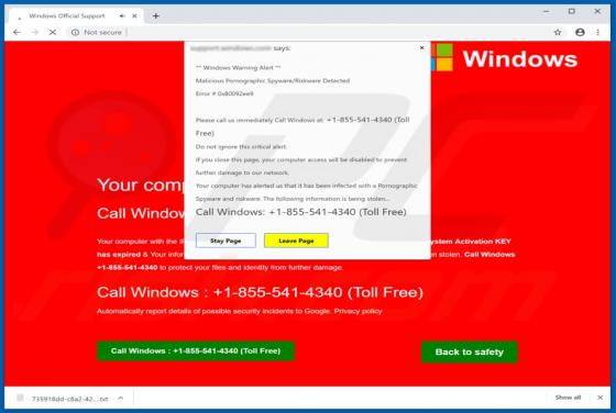 Error # 0x80092ee9 POP-UP Scam