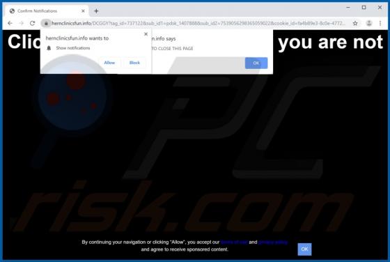 Hernclinicsfun.info Ads