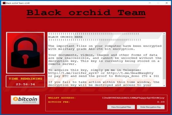 BlackOrchid Ransomware