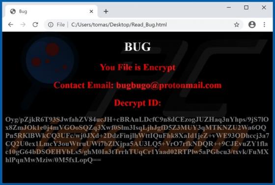 Bug Ransomware