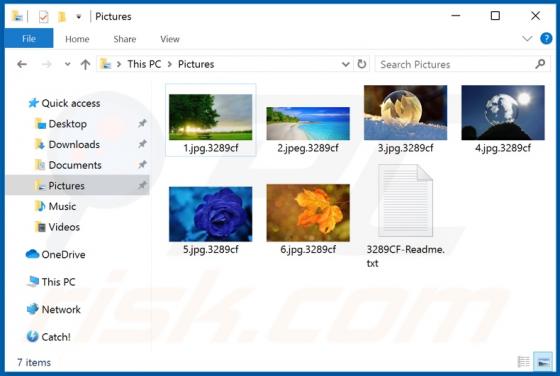 NetWalker Ransomware