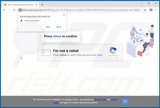 Behavingsoping.club Ads