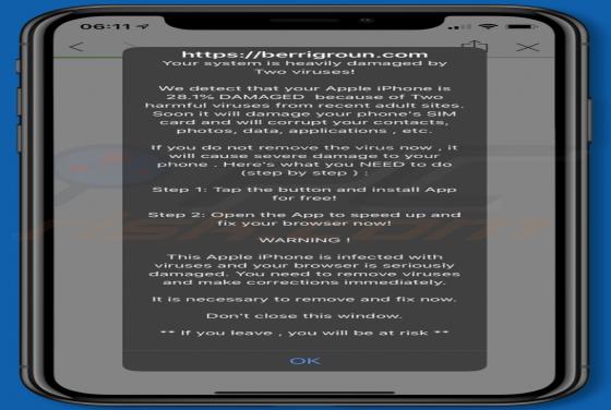 Berrigroun.com POP-UP Scam (Mac)