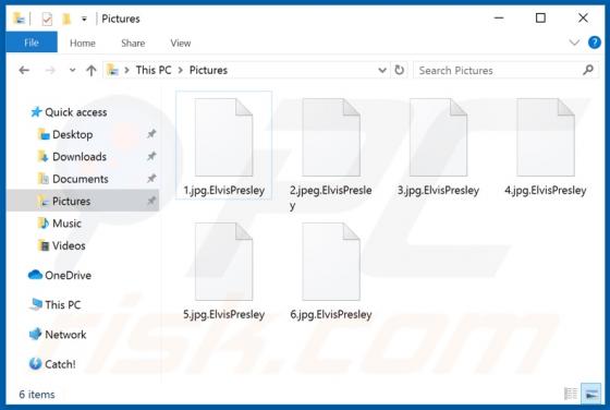 ElvisPresley Ransomware