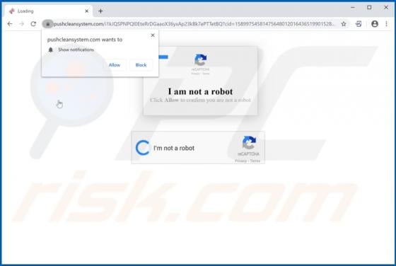 Pushcleansystem.com Ads