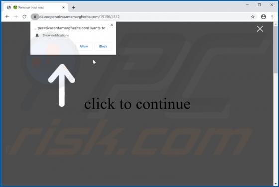 Cooperativasantamargherita.com Ads