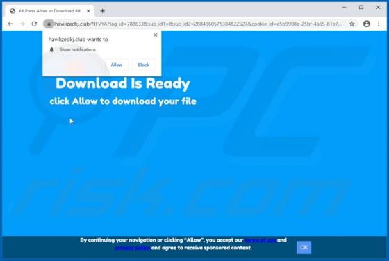 Havilizedkj.club Ads