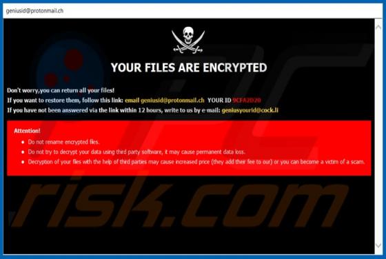 GNS Ransomware
