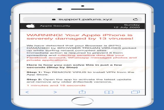 Paluns.xyz POP-UP Scam (Mac)