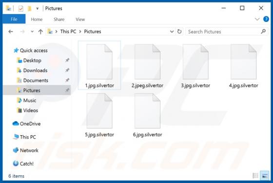 Silvertor Ransomware