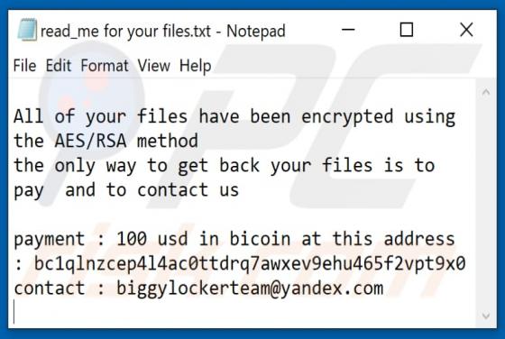 BiggyLockerTeam Ransomware
