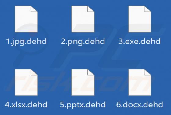 Dehd Ransomware