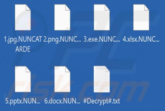 NUNCATARDE Ransomware