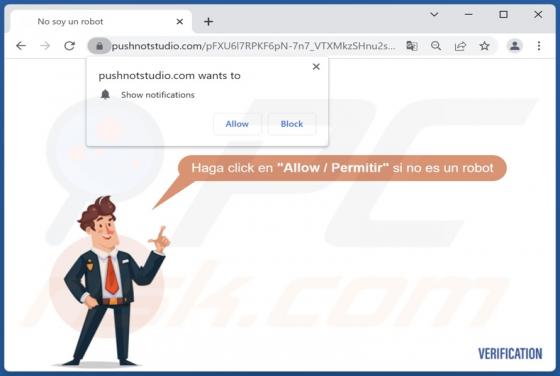 Pushnotstudio.com Ads