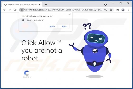 Websiteshove.com Ads