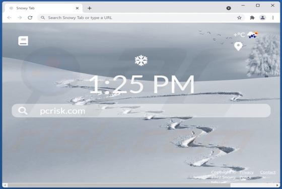 Snowy Tab Browser Hijacker