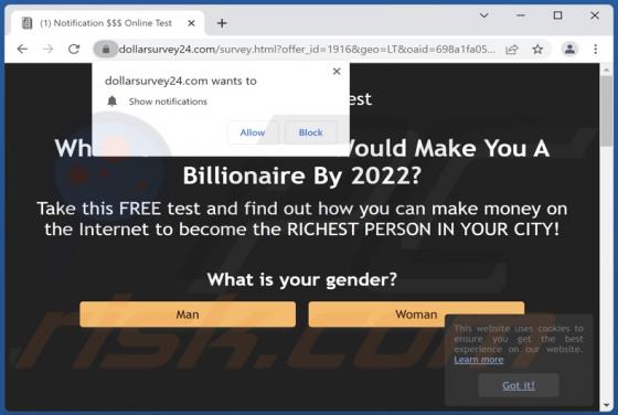 Dollarsurvey24.com Ads