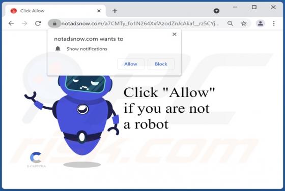 Notadsnow.com Ads