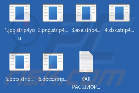 Strip4you Ransomware