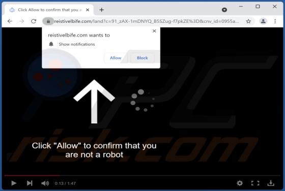 Reistivelbife.com Ads
