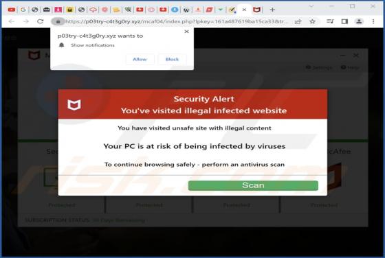 P03try-c4t3g0ry.xyz Ads