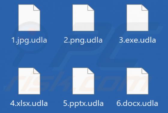 Udla Ransomware