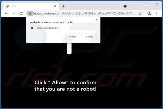 Notadsreviews.com Ads