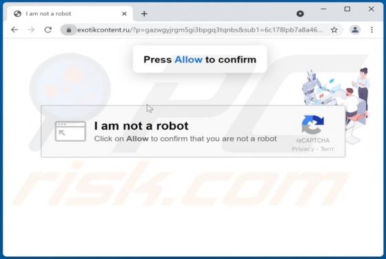 Exotikcontent.ru Ads