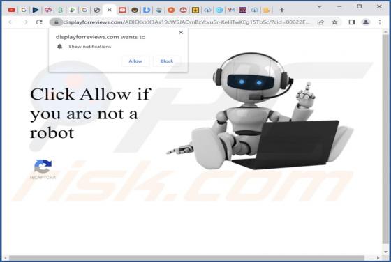 Displayforreviews.com Ads