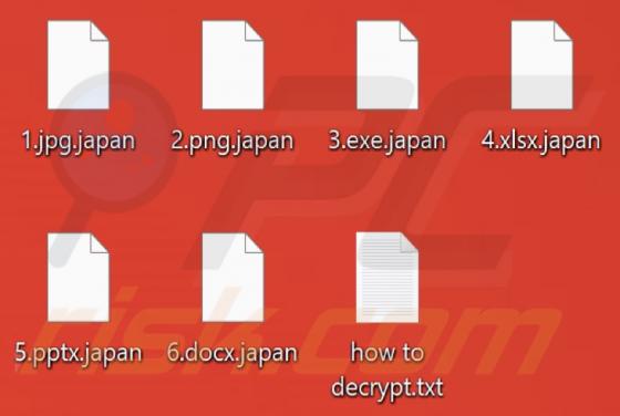 Japan Ransomware