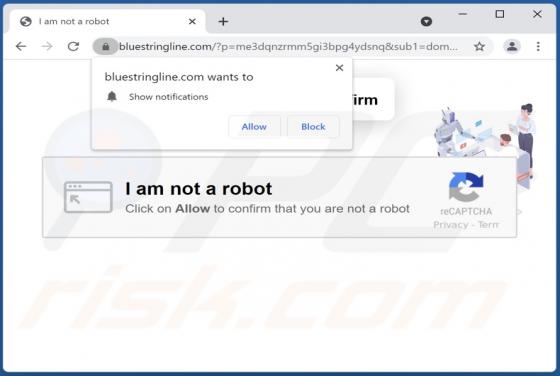 Bluestringline.com Ads