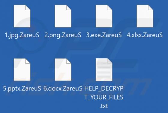 ZareuS Ransomware