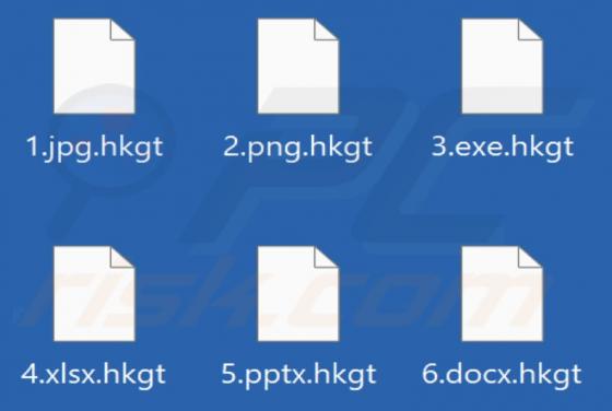 Hkgt Ransomware