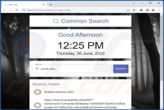 Common Search Browser Hijacker