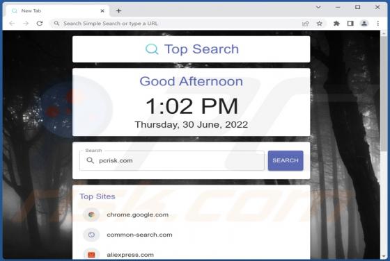 Top Search Browser Hijacker