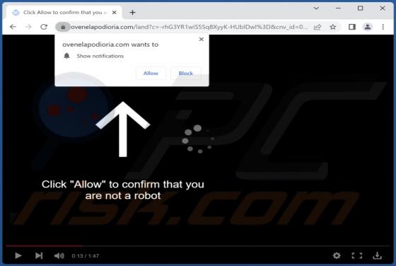 Ovenelapodioria.com Ads
