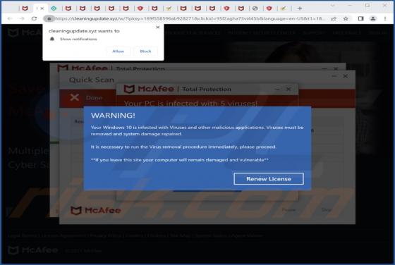 Cleaningupdate.xyz Ads