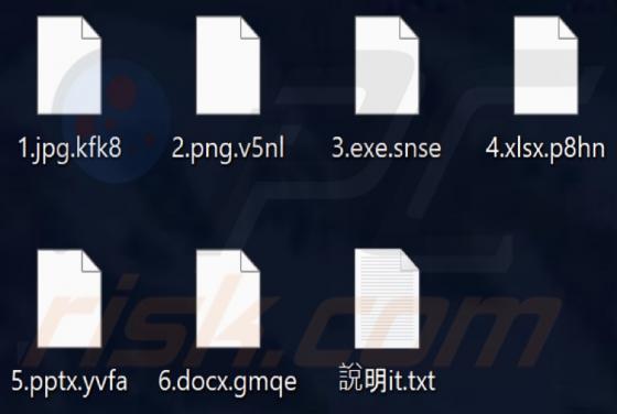 Lizard Squad Ransomware