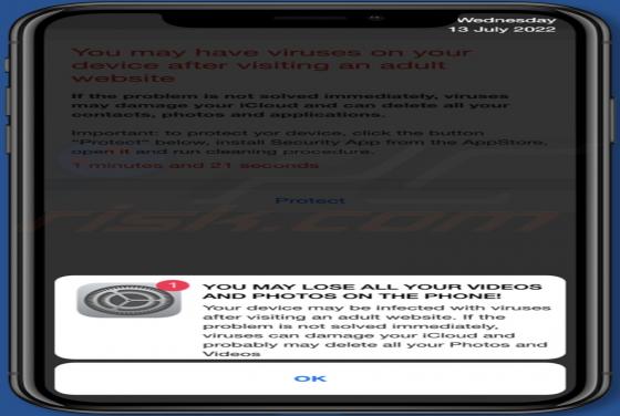 You May Have Viruses On After Visiting An Adult Website POP-UP Scam (Mac)