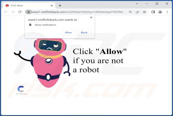 Notifinfoback.com Ads
