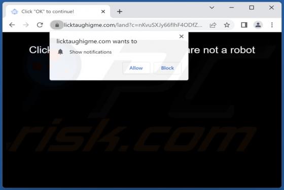 Licktaughigme.com Ads