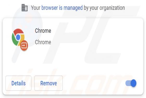 Fake "Chrome" Extension