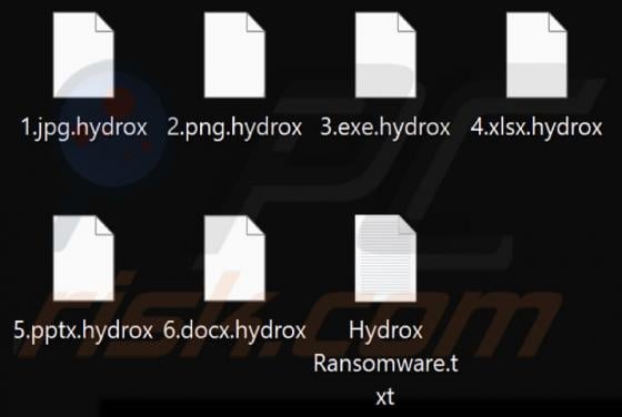 Hydrox Ransomware