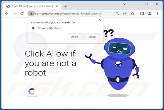 Somenewforyou.cc Ads