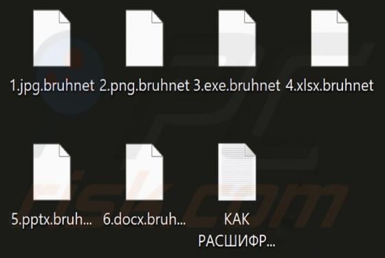 Bruhnet Ransomware